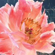 JOY by Dior Eau de parfum intense - א.ד.פ אינטנס לאישה