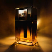 Dior Homme Parfum - בושם לגבר