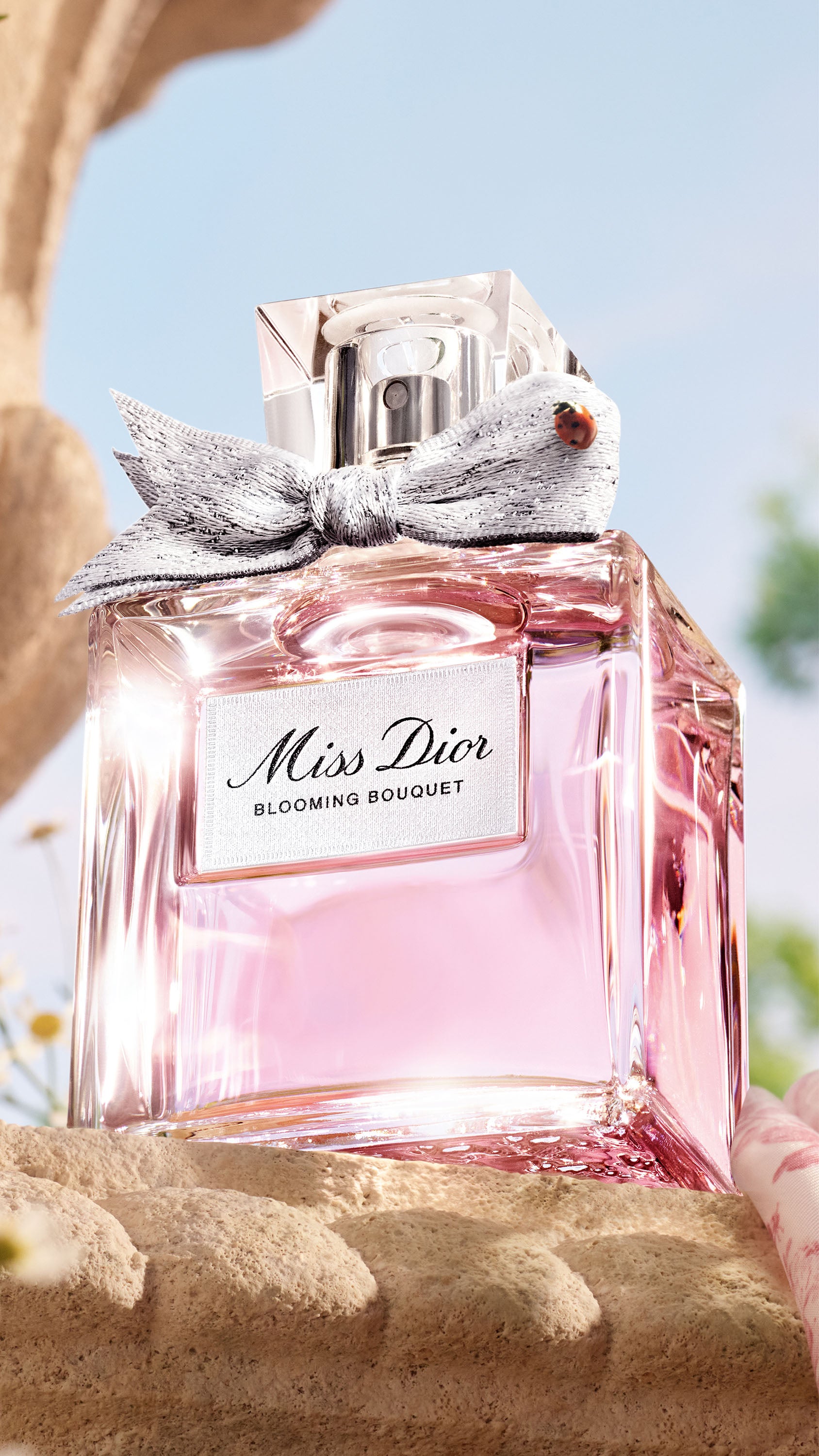 A26SUMMER_P01C_ter_MISS_DIOR_BB_1688x3000_b5932ae9-de47-4582-882e-677326ad3c53.jpg