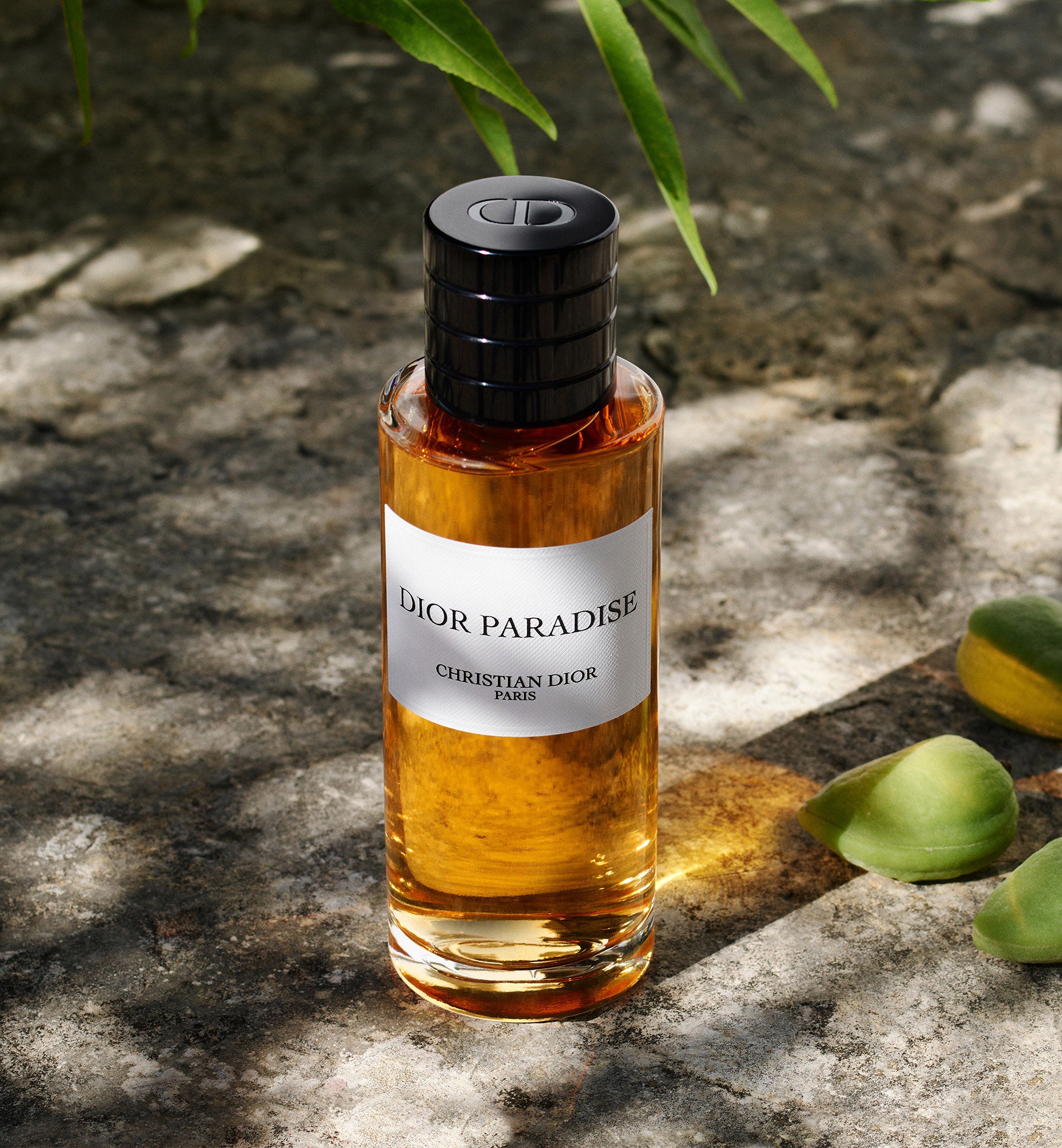A26_ECOM_F264_LCP_SPLENDIDO_25_DIOR_PARADISE_1850x2000_V1_1.jpg