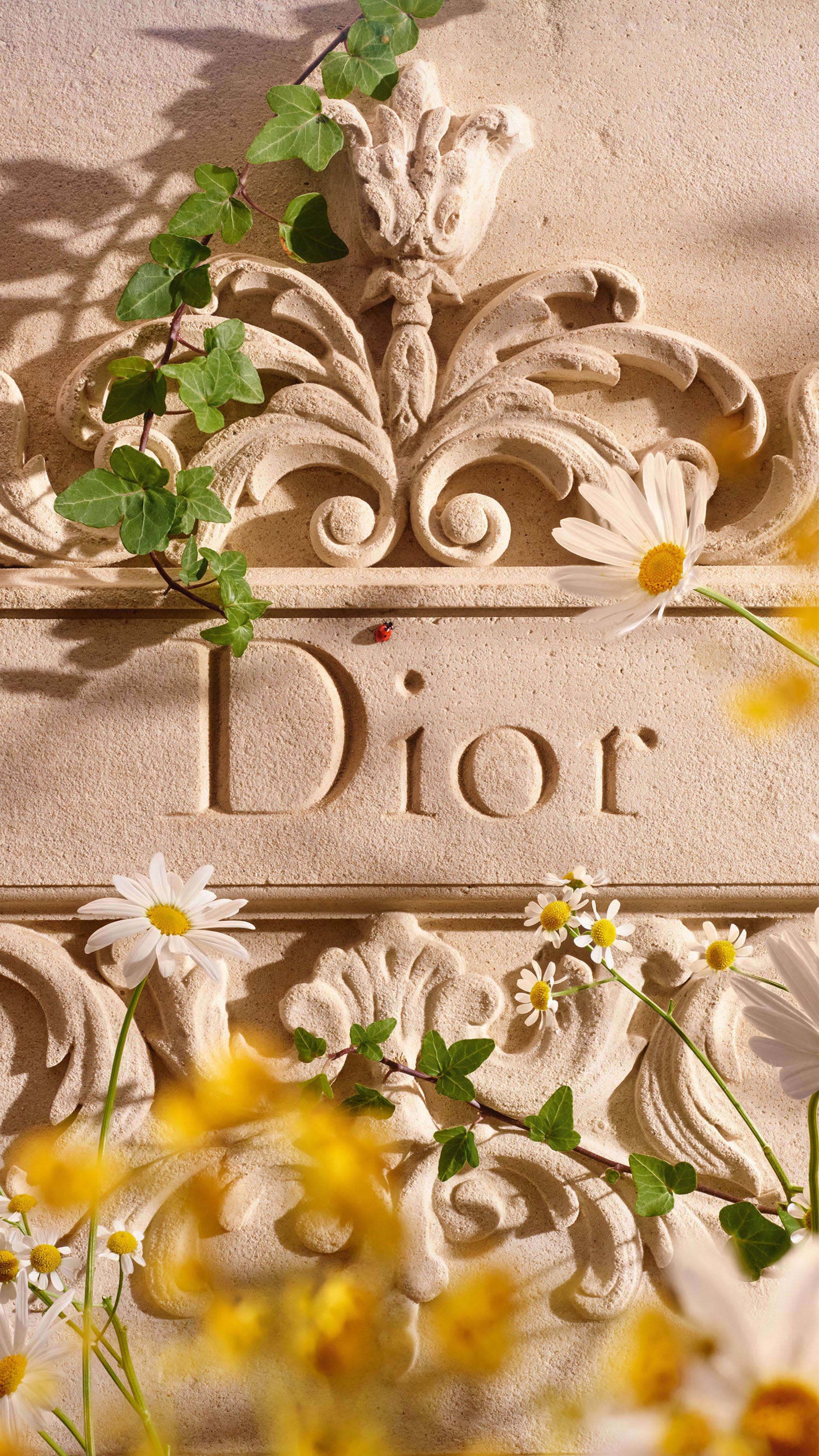 A26_SUMMER_ANIM_D07D_DIOR_LOGO_1688x3000_6492cf5d-5a80-4192-9928-5f7981bfa04b.jpg