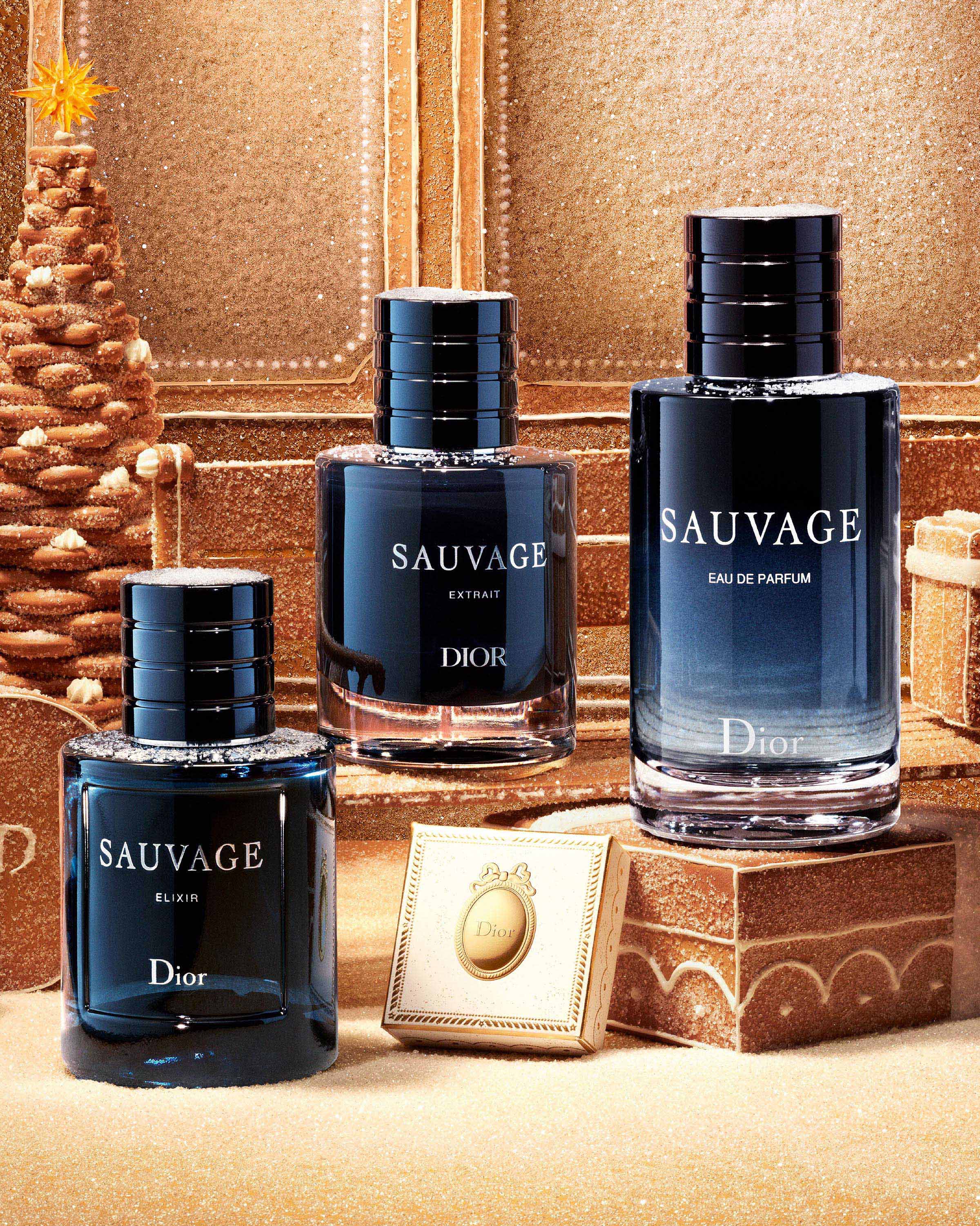 EMERCH_XMAS_26_D23C_GAMME_SAUVAGE_2400x3000_V2.jpg