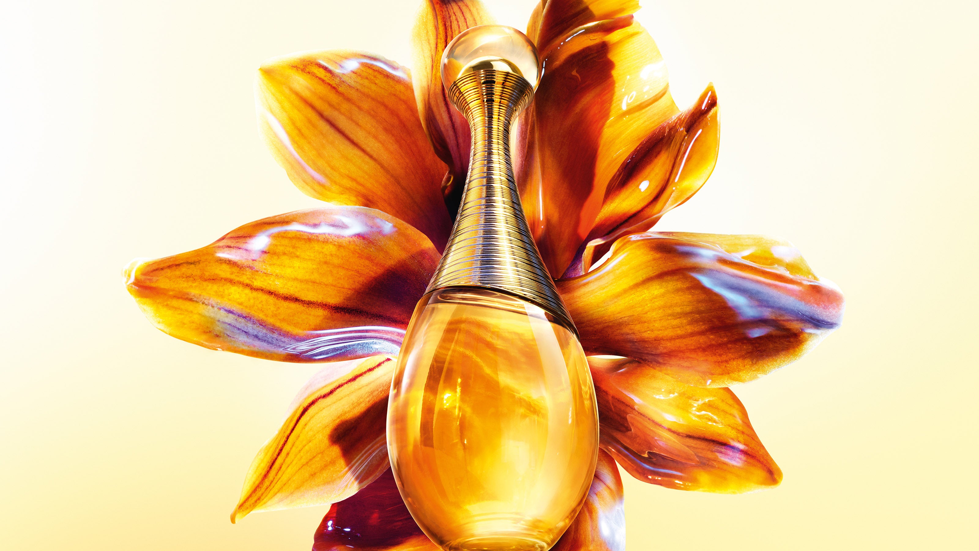 JDR_Intense_Pack-Fleur_3200x1800_0c43bdc6-970d-4298-866c-43201b68b5d9.jpg