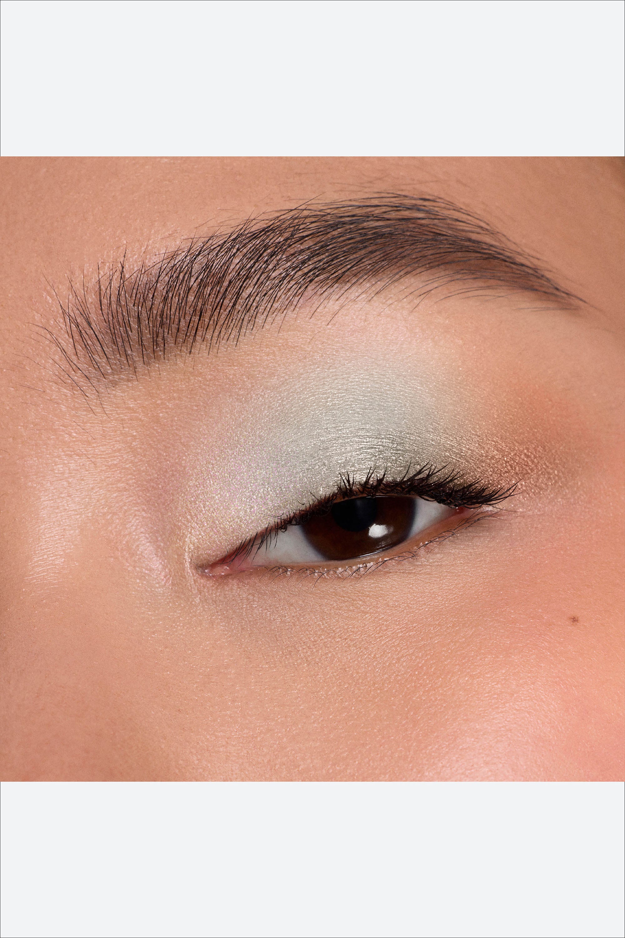 פלטת עיניים – 5 צלליות – מהדורת אביב מוגבלת