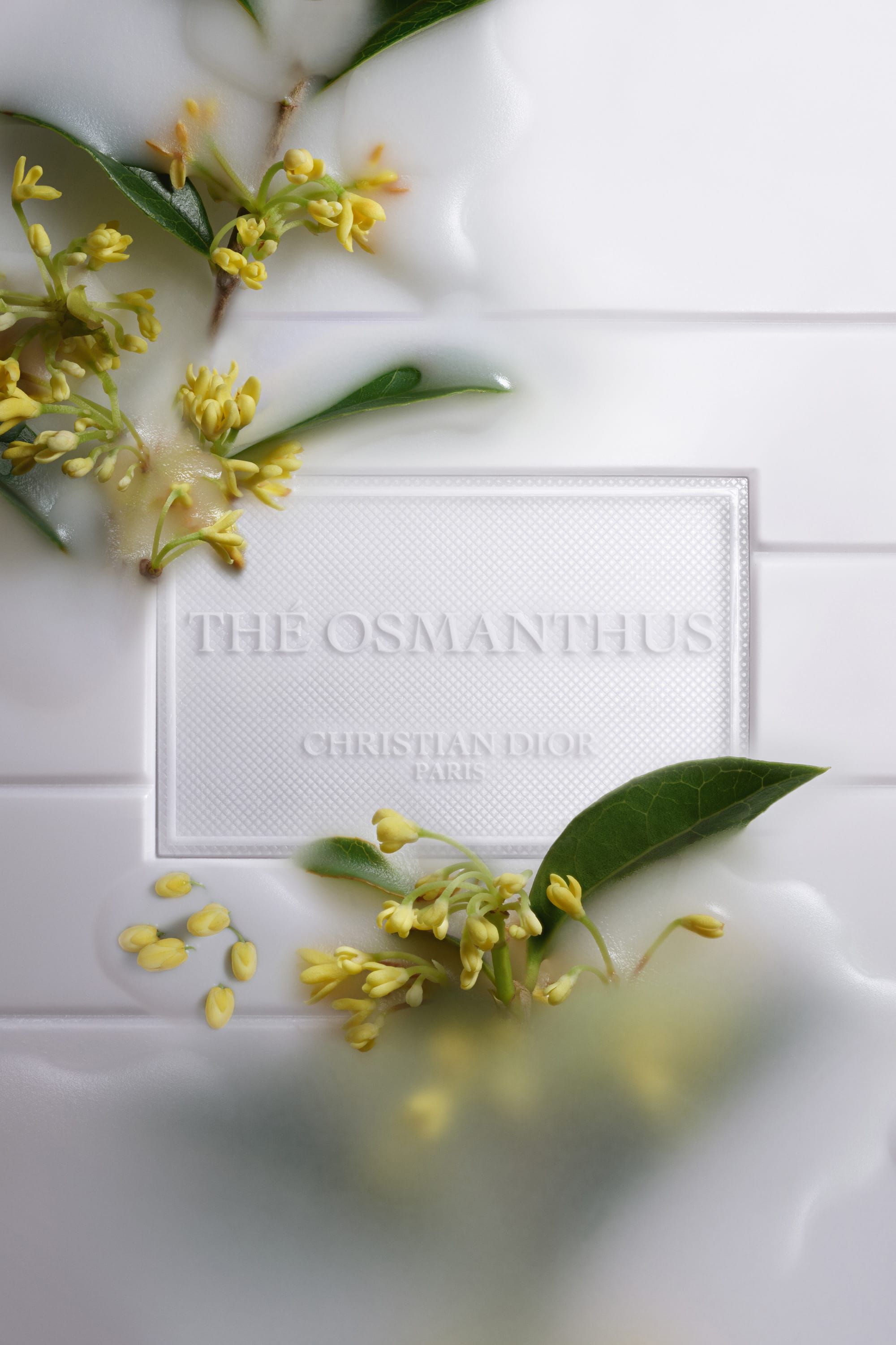 Thé Osmanthus - נר מבושם