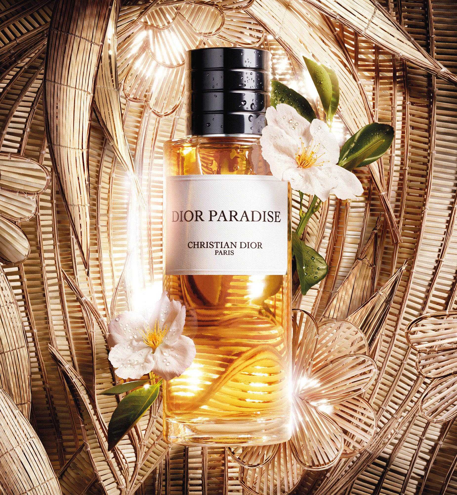 Dior Paradise