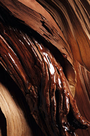 Moisturising Hand and Body Lotion - קרם לחות לידיים ולגוף