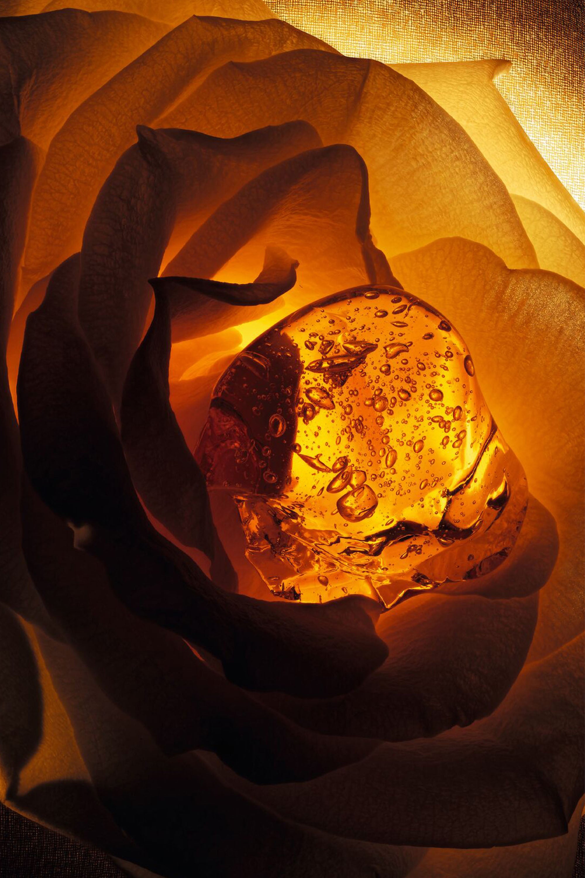 Moisturising Hand and Body Lotion - קרם לחות לידיים ולגוף