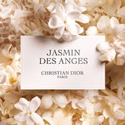 Jasmin des Anges