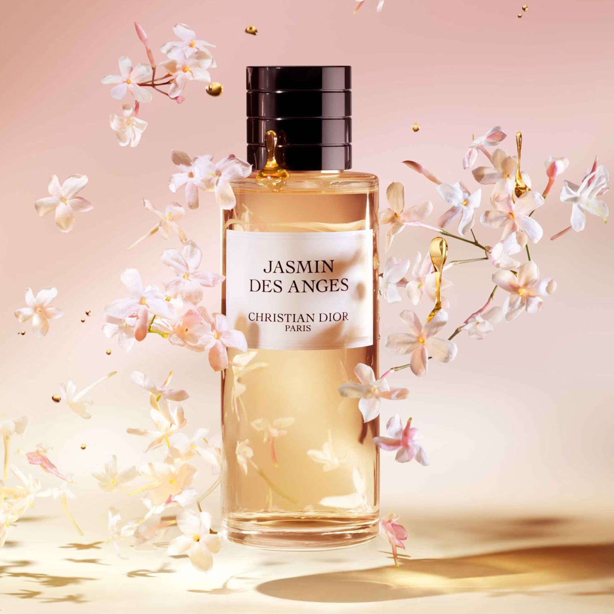 Jasmin des anges outlet