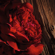 Oud Ispahan