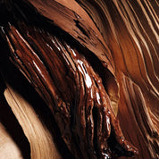 Oud Rosewood