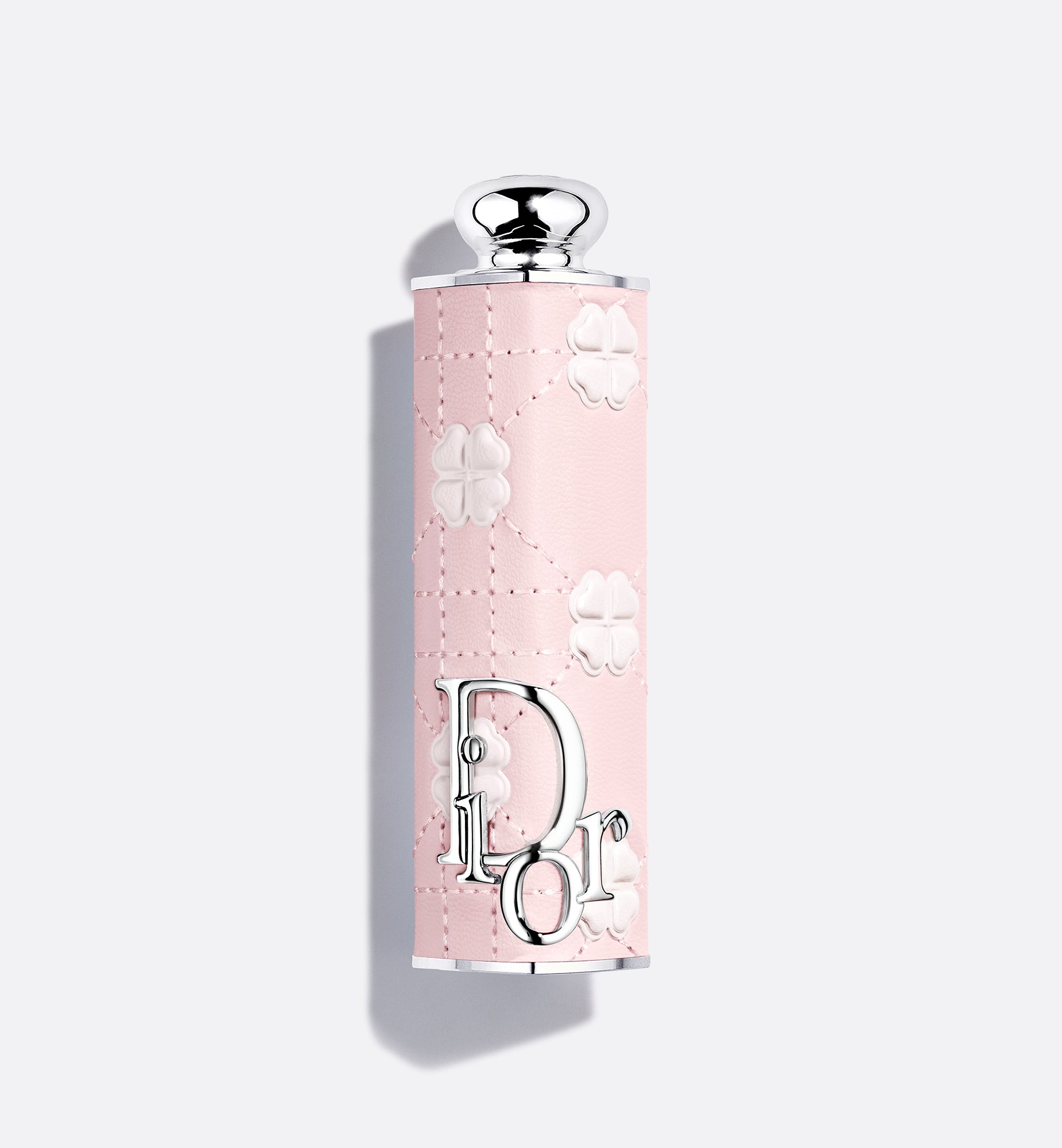 Dior Addict Case - Fall Limited Edition - קייס לשפתון