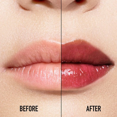 Dior Addict Lip Maximizer