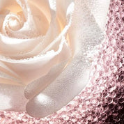 Dior Prestige Le Micro-Caviar de Rose