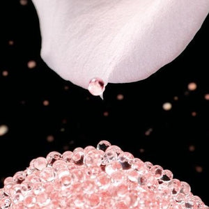 Dior Prestige Le Micro-Caviar de Rose