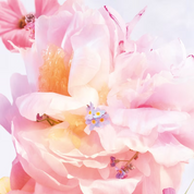 Miss Dior Blooming Bouquet
